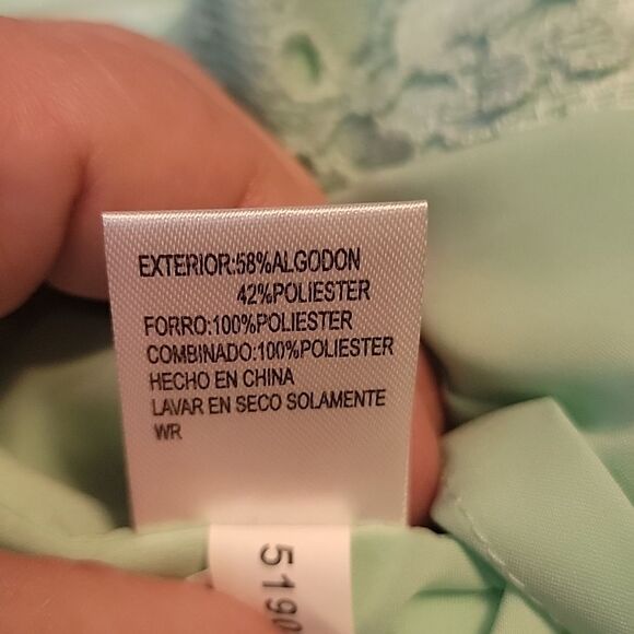 NWOT Antonio Melani GORGEOUS Lace Midi Dress in mint Green - Picture 14 of 16